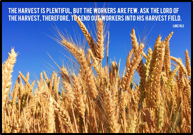 Fourth Sunday after Pentecost, July 6, 2025