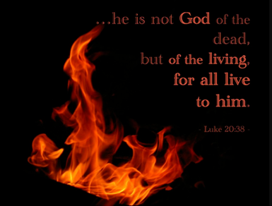 Twenty Second Sunday after Pentecost, November 9, 2025