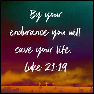 Twenty Third Sunday after Pentecost, November 16, 2025