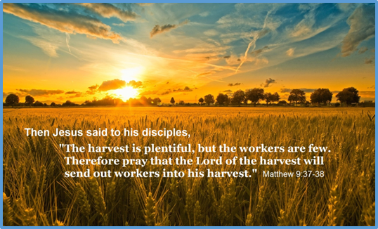 Third Sunday after Pentecost, June 14, 2026