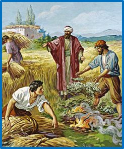 Eighth Sunday after Pentecost, July 19, 2026